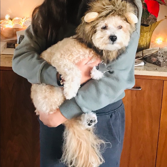 Meet your Posher, Heidi - Picture 1 of 1